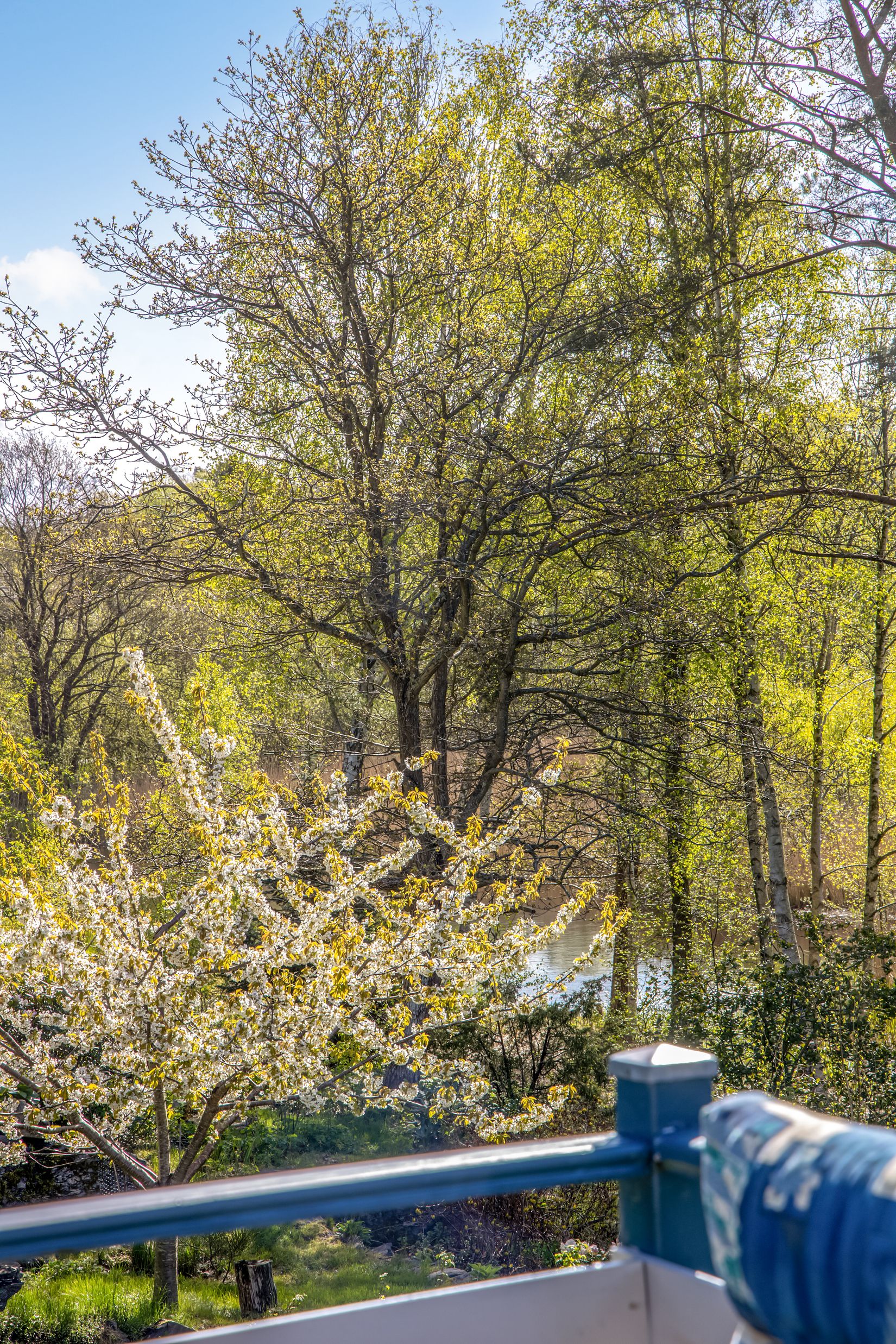 Fritidshus, Bastubäcksvägen 10, Kungälv - Ödsmålsmosse, Kungälv