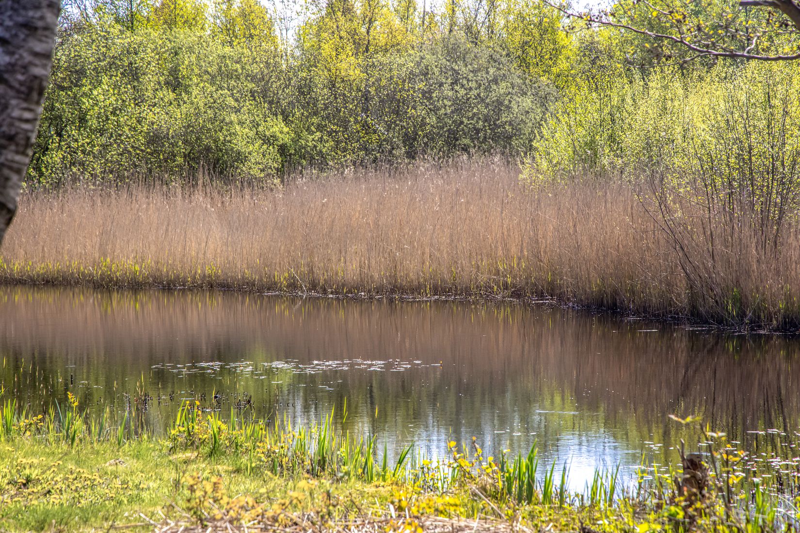 Fritidshus, Bastubäcksvägen 10, Kungälv - Ödsmålsmosse, Kungälv