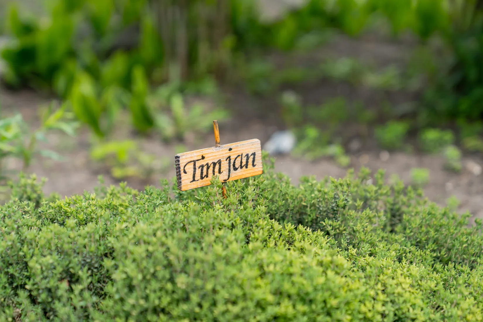 Fritidshus, Citadellvägen 37, Citadellet, Landskrona