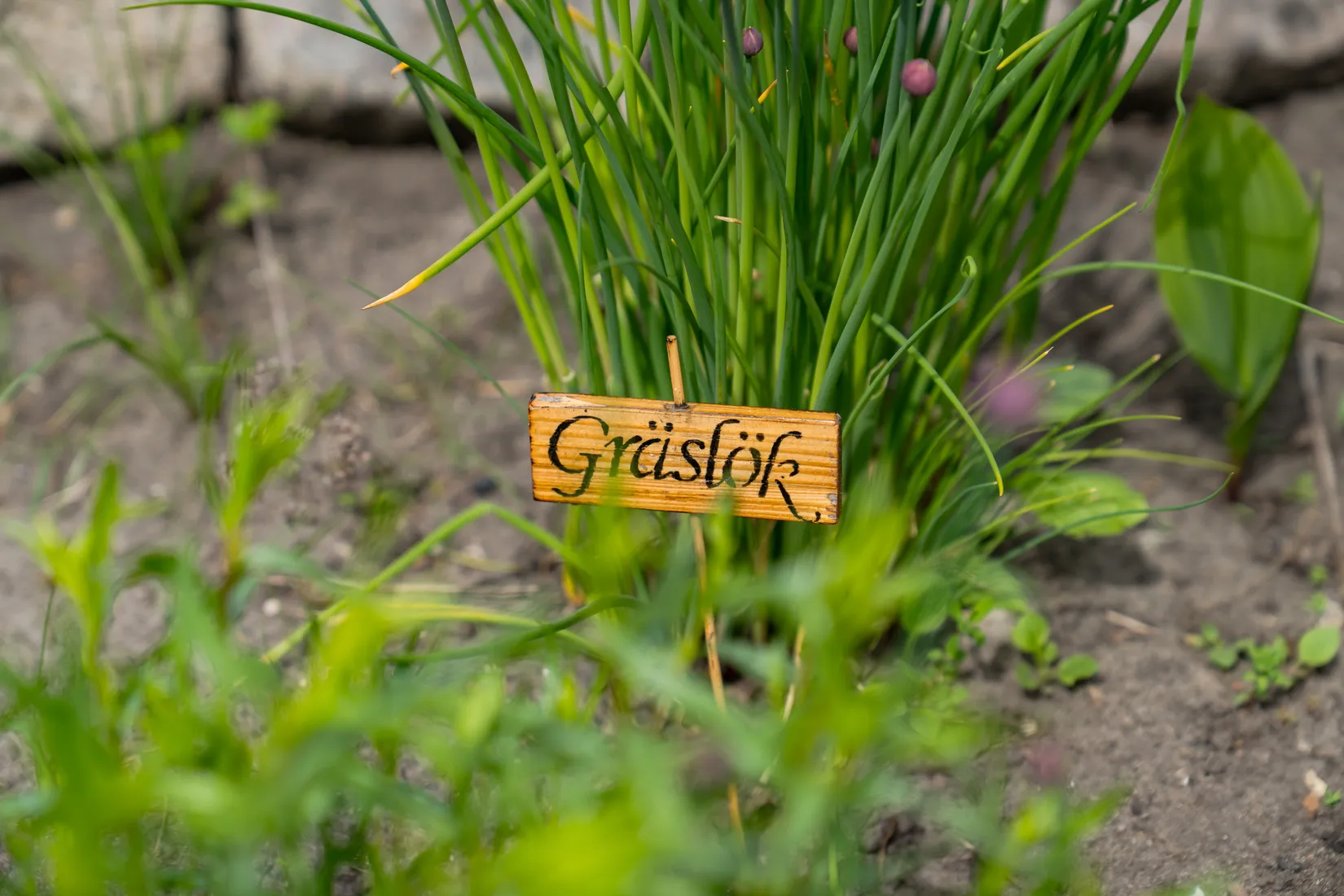 Fritidshus, Citadellvägen 37, Citadellet, Landskrona