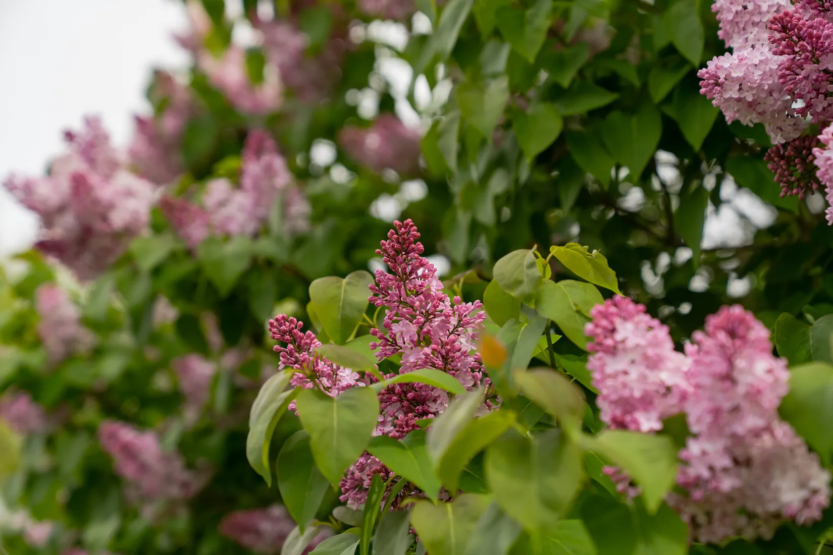 Fritidshus, Citadellvägen 37, Citadellet, Landskrona