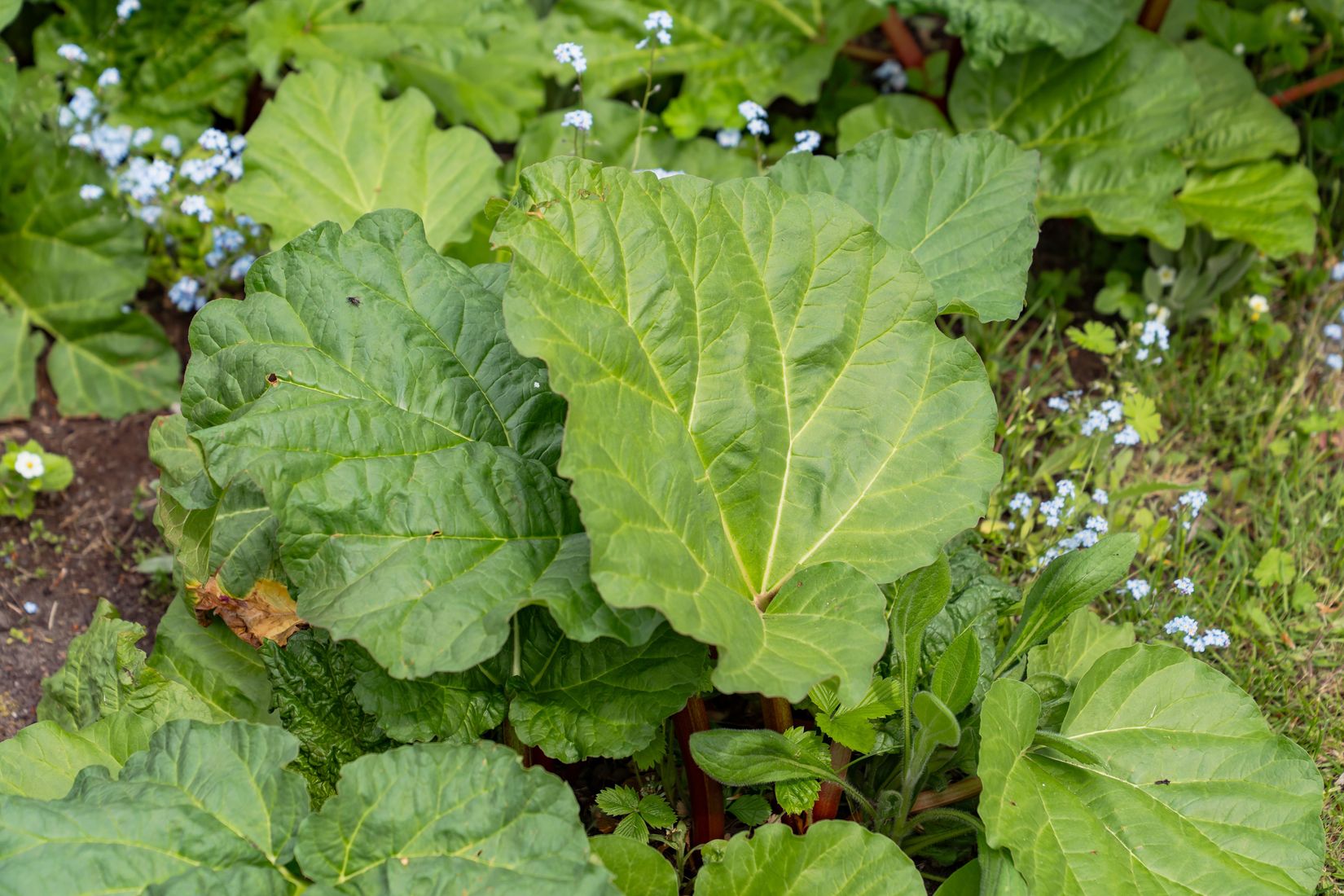 Fritidshus, Citadellvägen 47, Citadellet, Landskrona