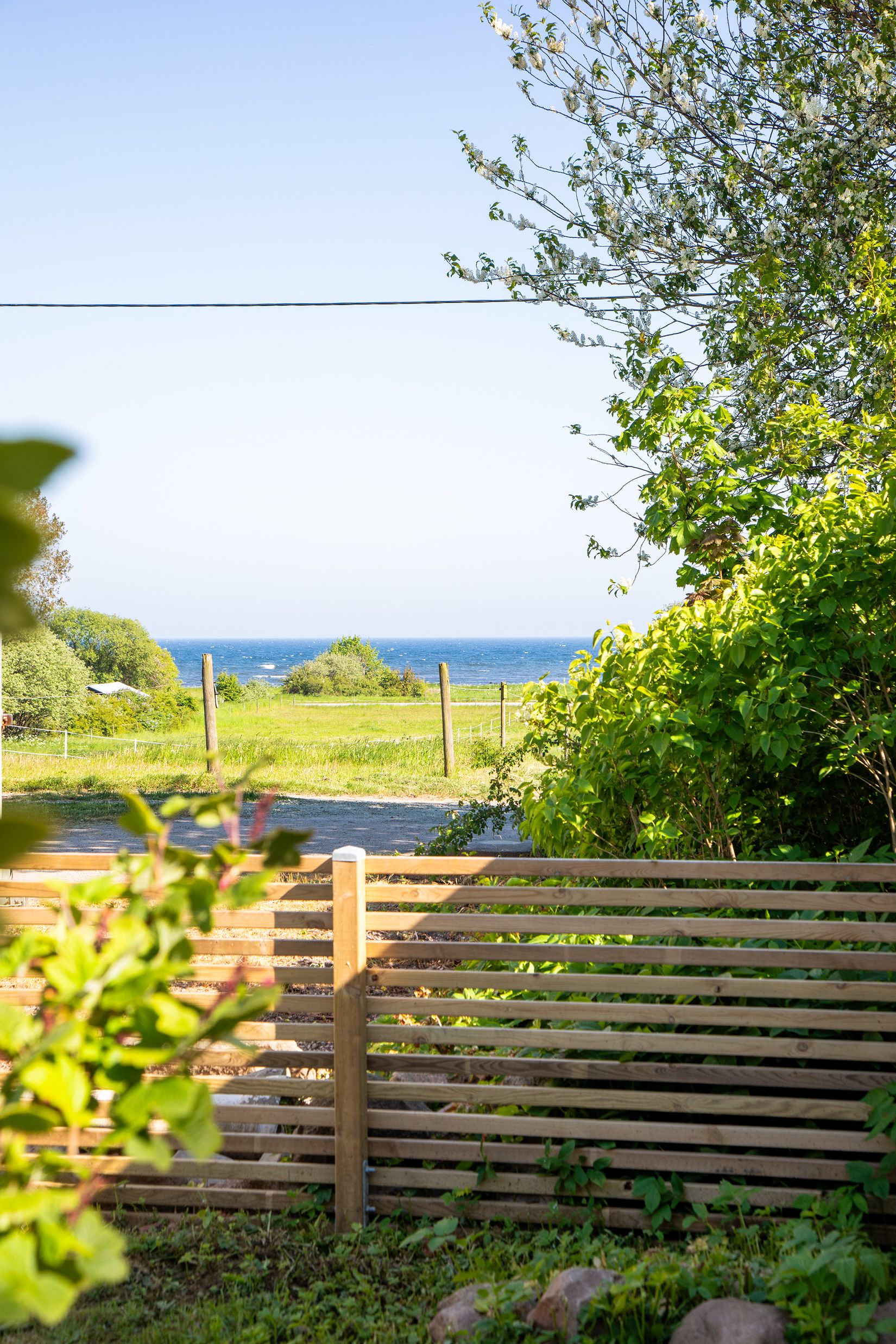 Gård/Skog, Bernhard Nils väg 7, Örnahusen, Simrishamn
