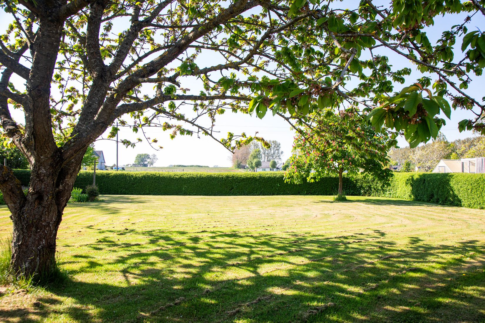 Gård/Skog, Bernhard Nils väg 7, Örnahusen, Simrishamn