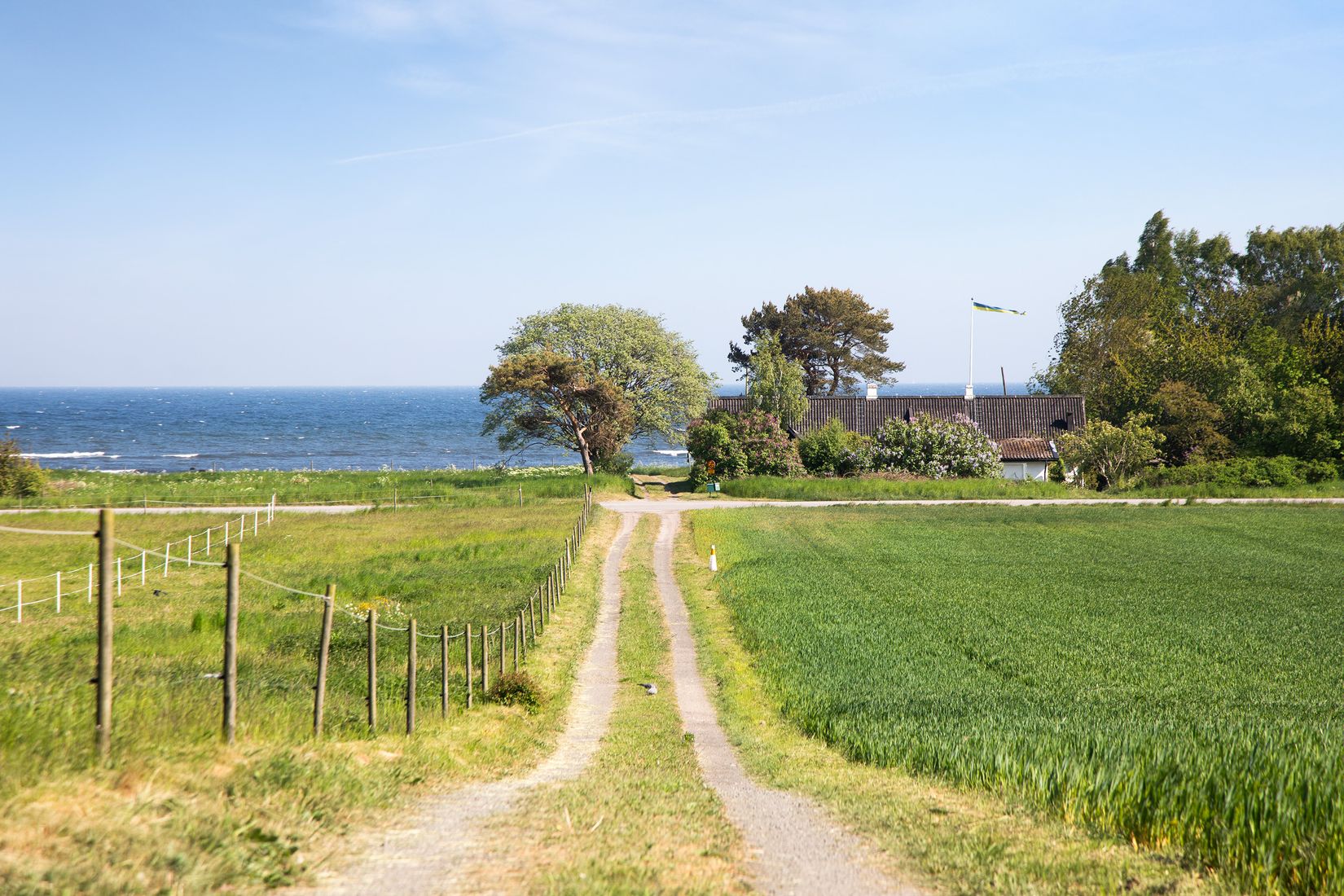 Gård/Skog, Bernhard Nils väg 7, Örnahusen, Simrishamn