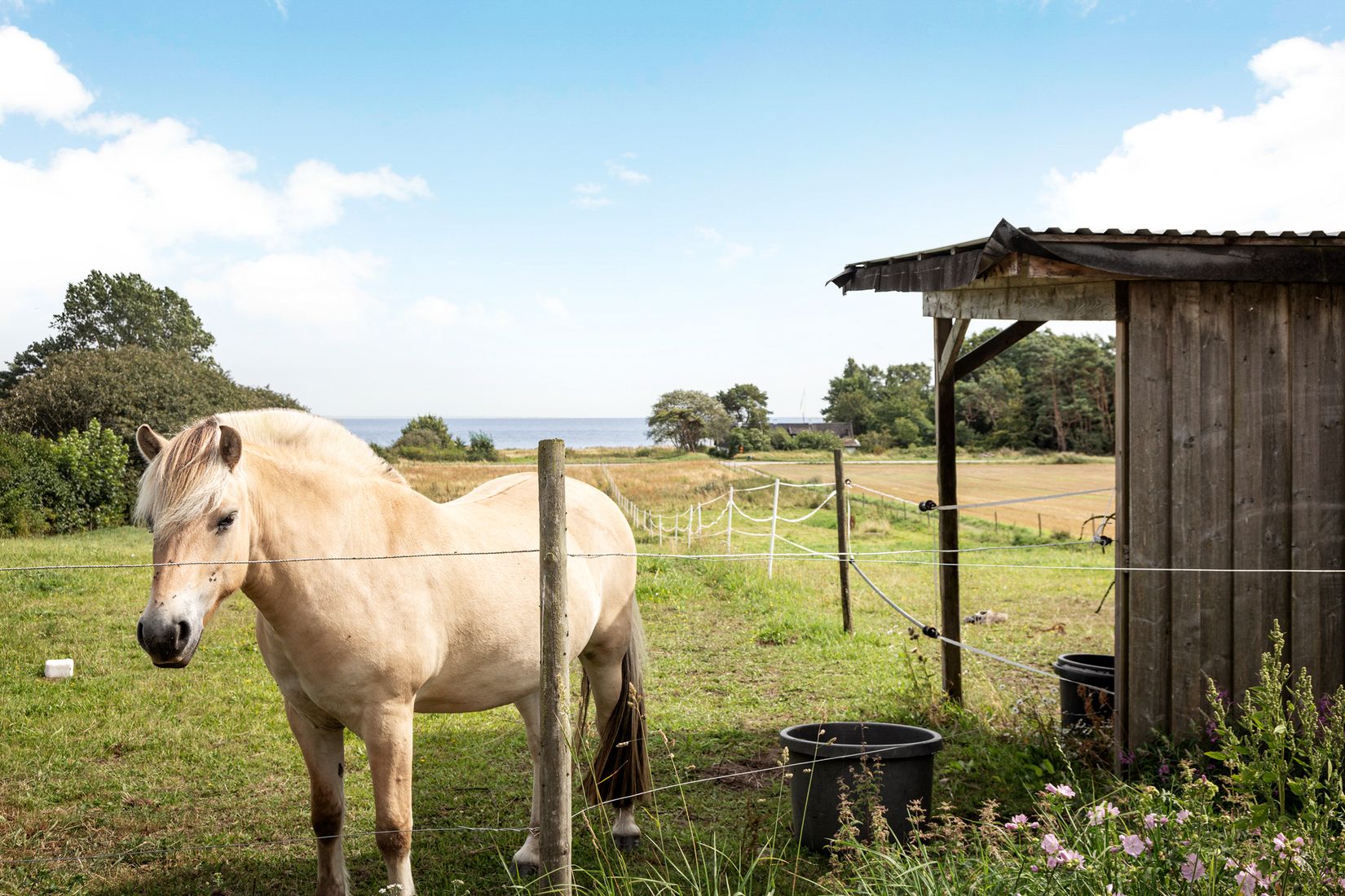 Gård/Skog, Bernhard Nils väg 7, Örnahusen, Simrishamn