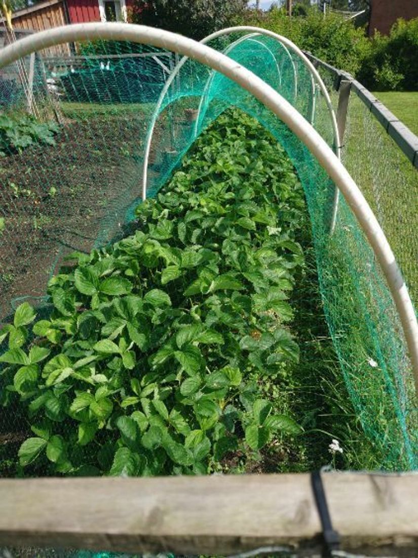 Villa, Ringvägen 8, Örnsköldsvik