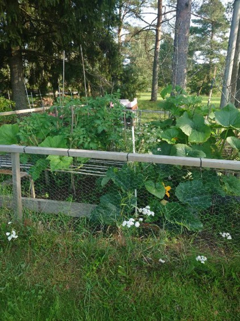 Villa, Ringvägen 8, Örnsköldsvik