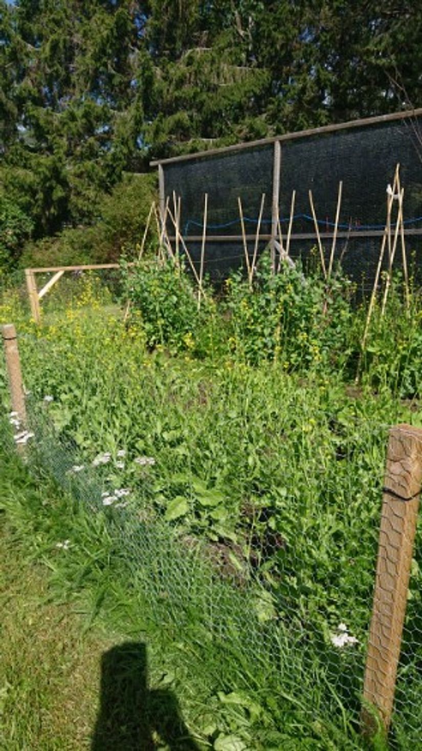 Villa, Ringvägen 8, Örnsköldsvik