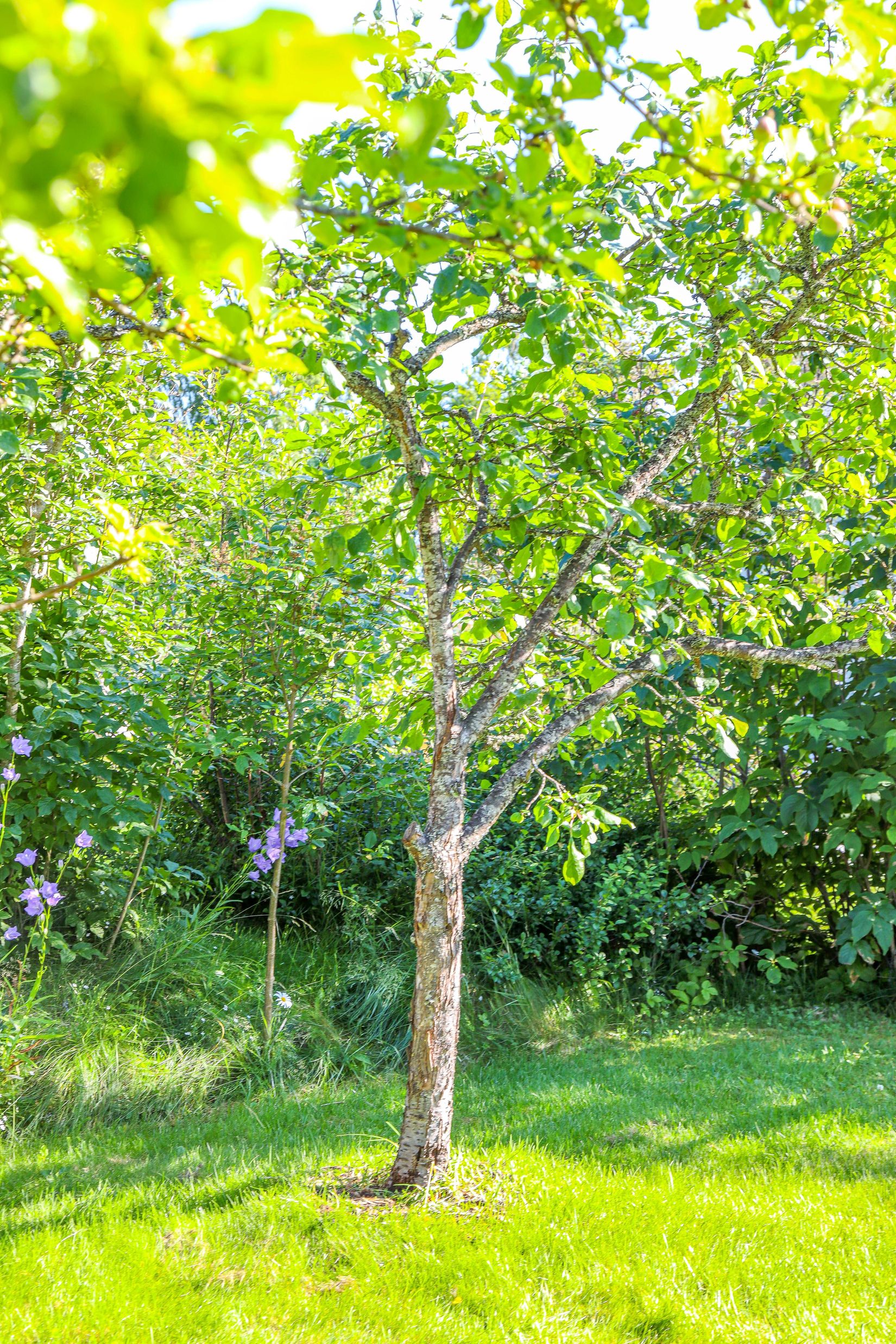 Villa, Ringvägen 8, Örnsköldsvik