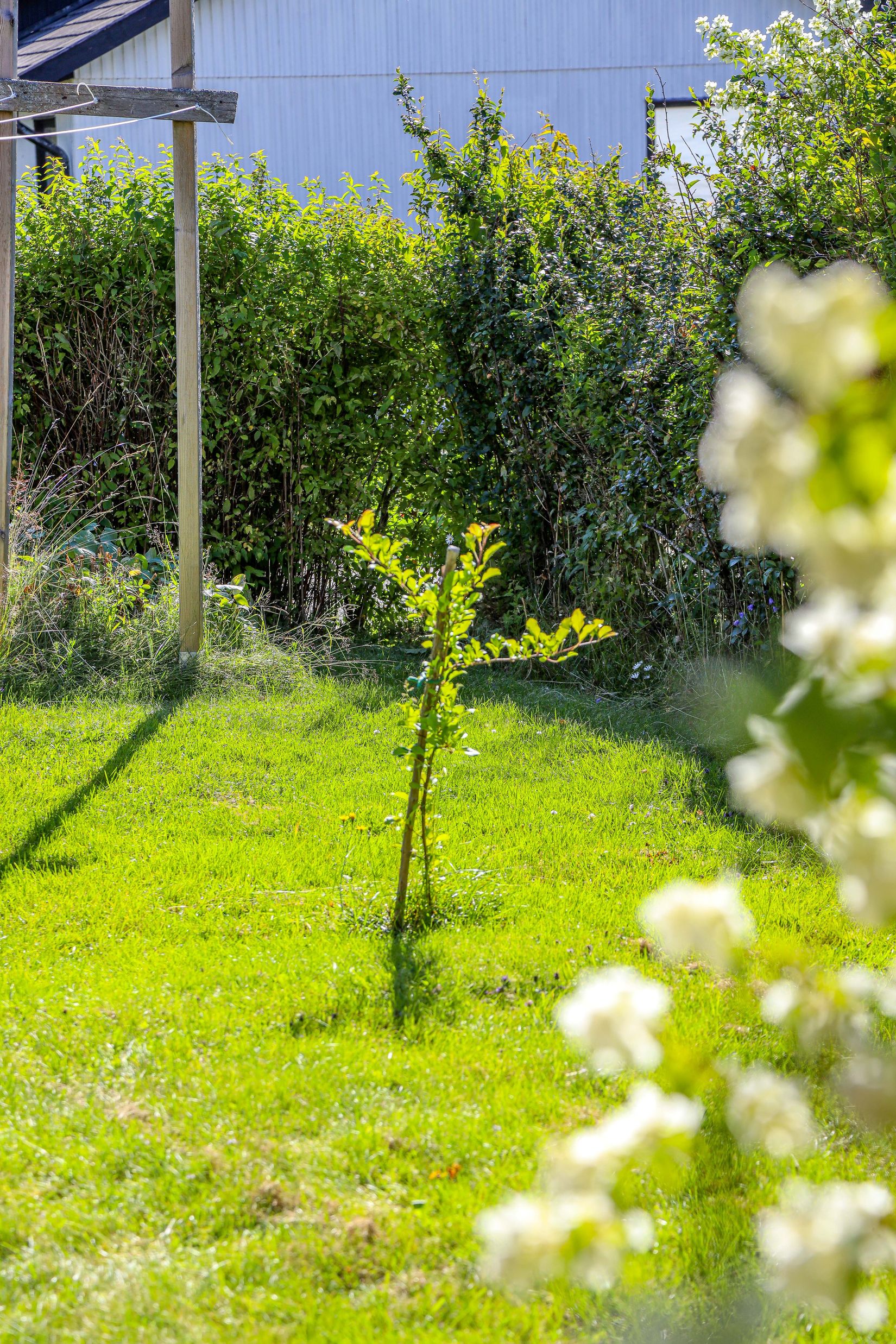 Villa, Ringvägen 8, Örnsköldsvik