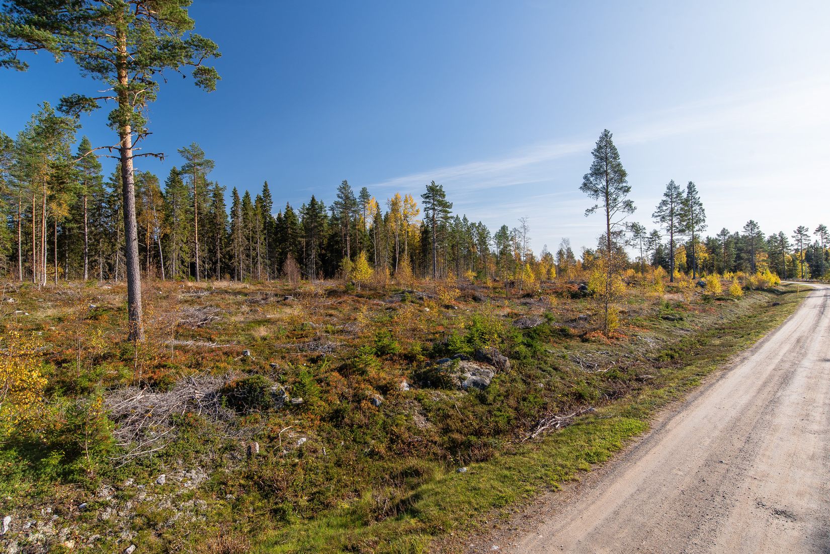 Villa, Nyvik, Nordmaling Nyvik, Nordmaling