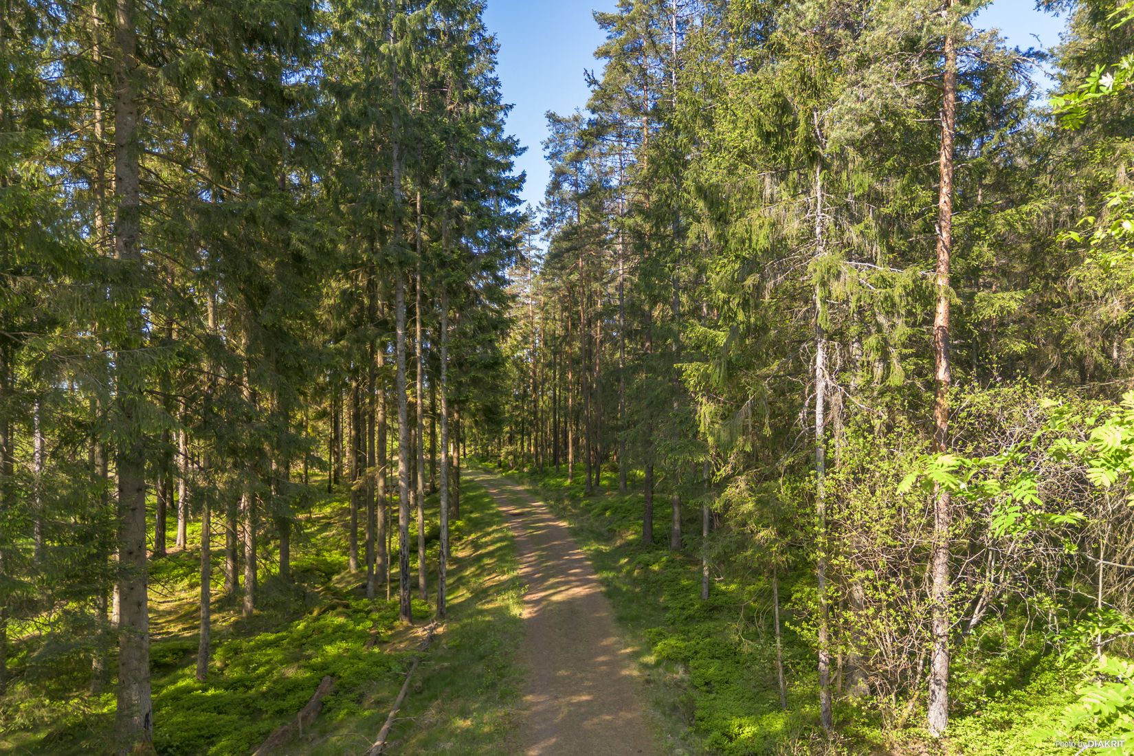 Tomt, VÄRRED 2:32, Härryda