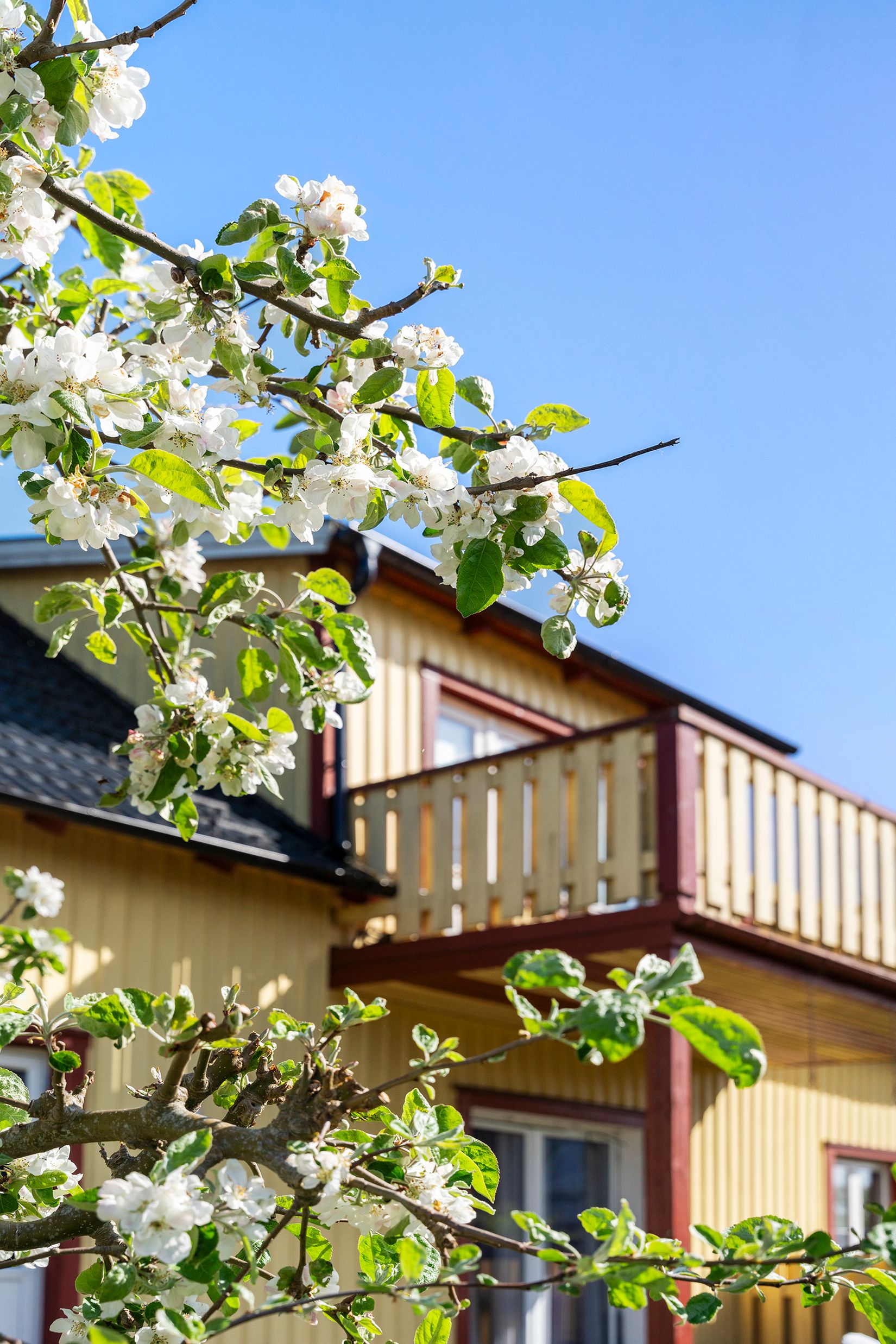 Villa, Lyckhemsgatan 5, Fredriksberg, Vänersborg