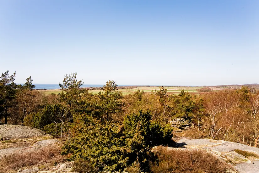 Villa, Vesslevägen 2, Haverdal, Halmstad