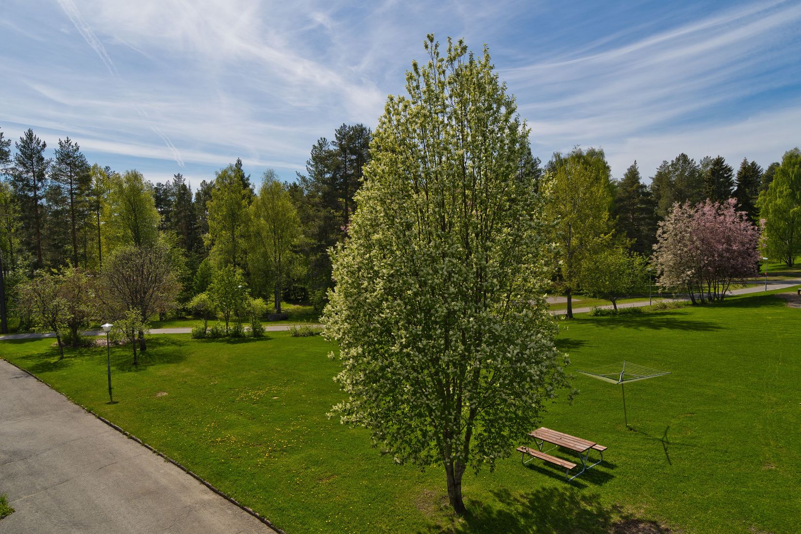 Bostadsrätt, Myntgatan 95, Moröhöjden, Skellefteå