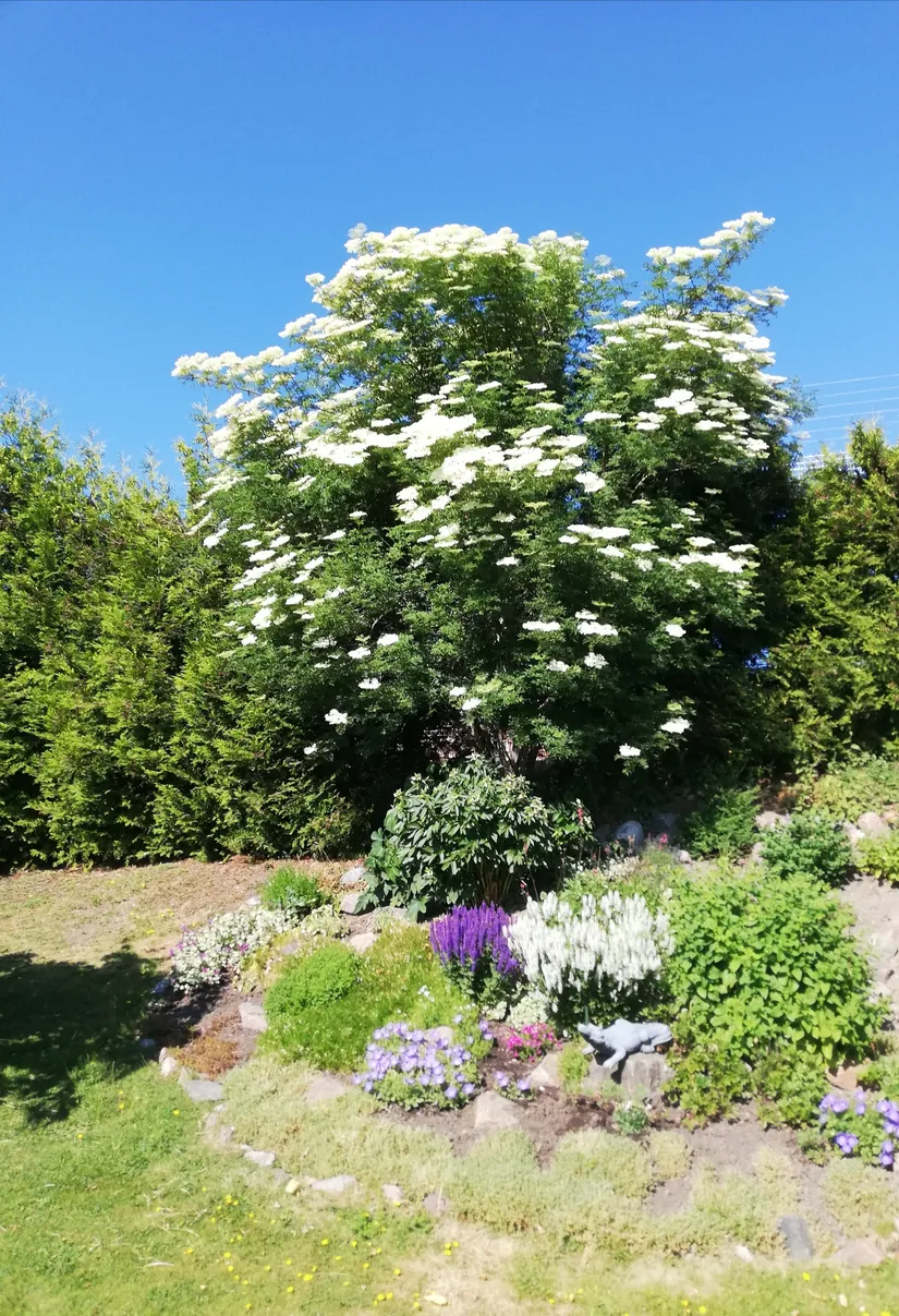 Villa, Klasrovägen 57B, Häggvik, Sollentuna