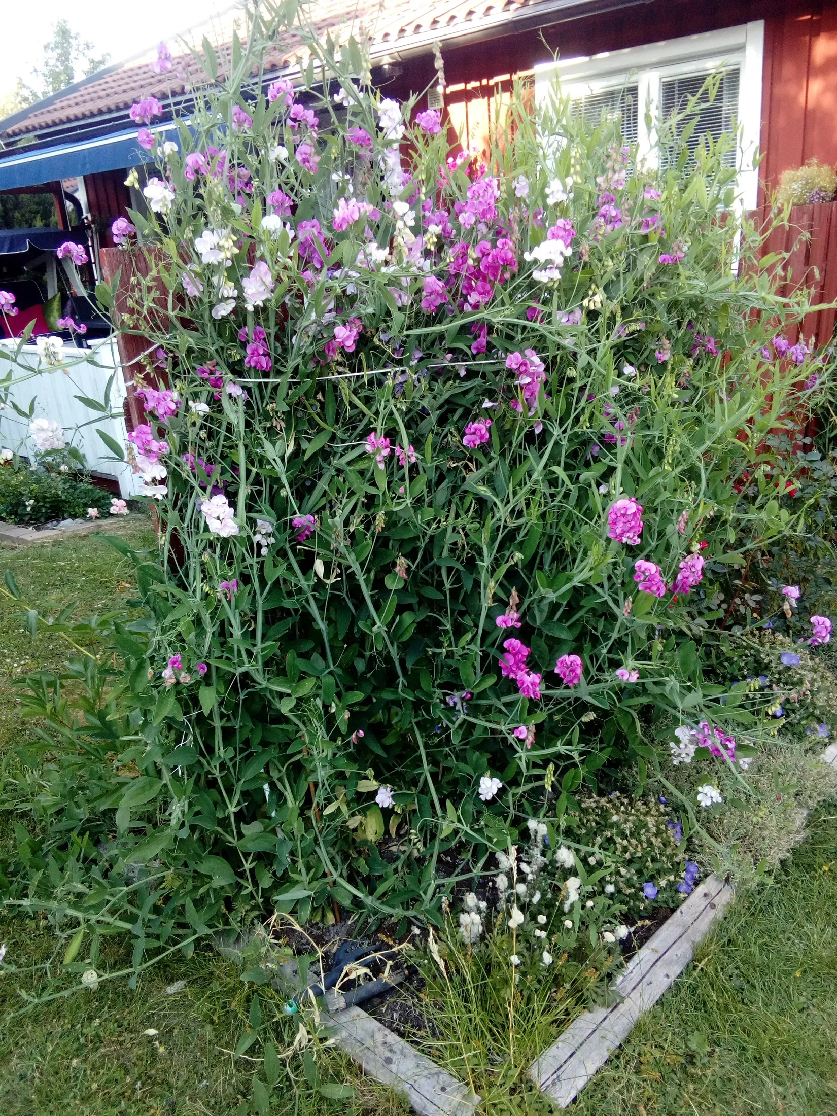 Villa, Klasrovägen 57B, Häggvik, Sollentuna