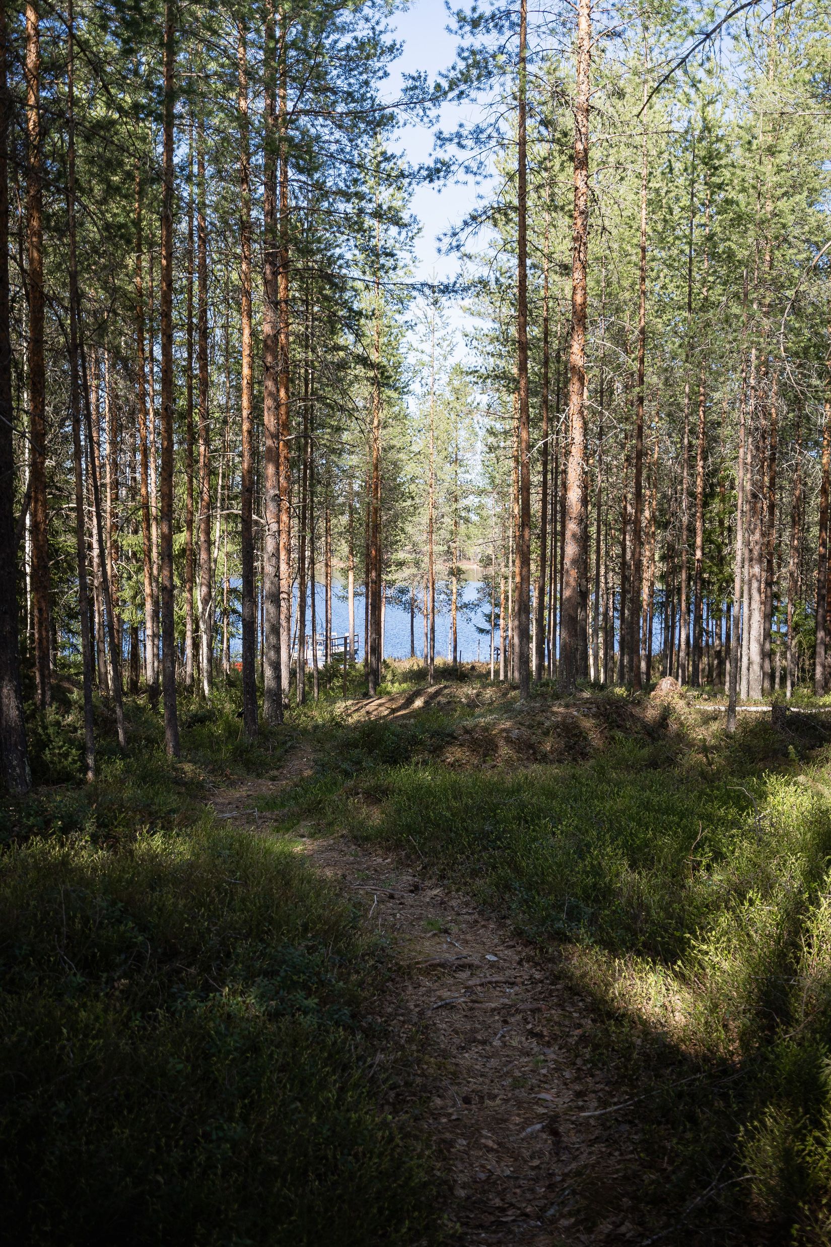 Villa, Djuptjärn 11, Sörböle, Skellefteå