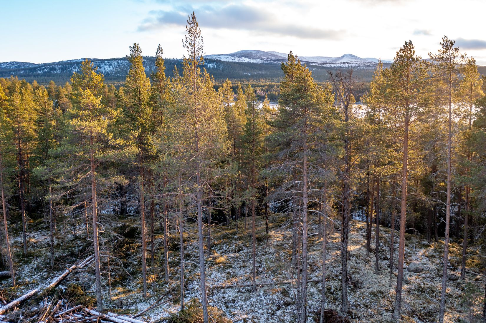 Tomt, Lofsdalsvägen, Lofsdalen 26:282, Härjedalen