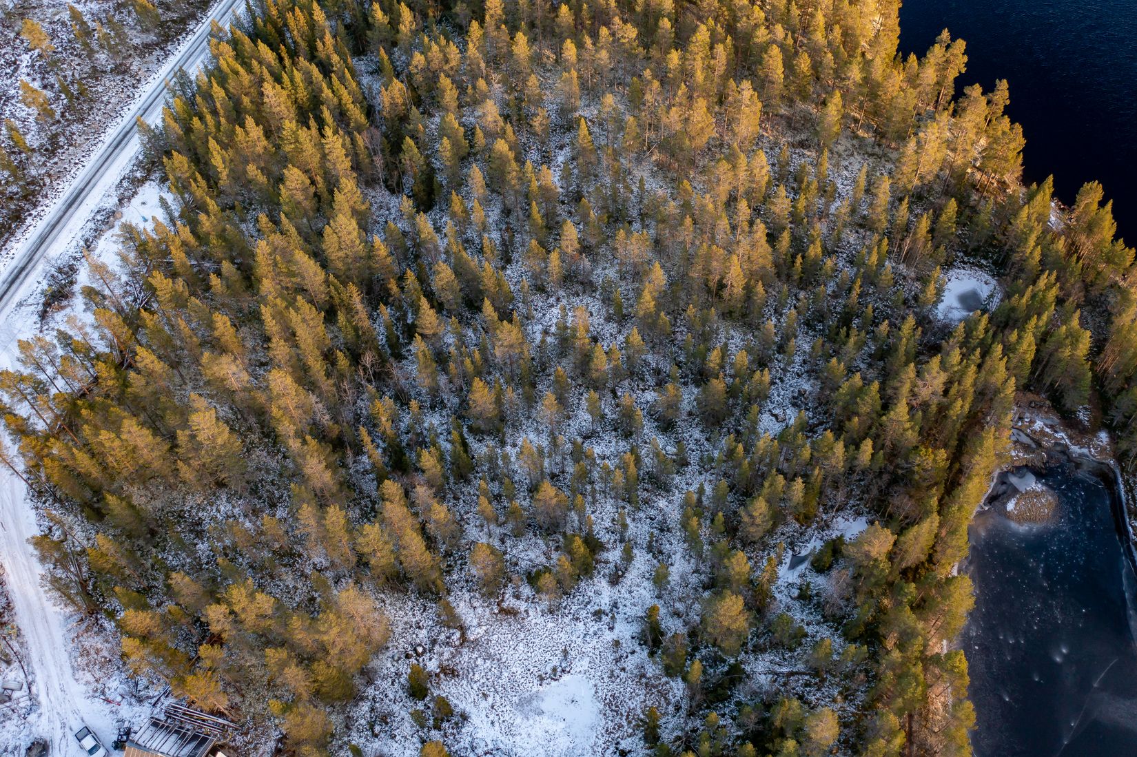 Tomt, Lofsdalsvägen, Lofsdalen 26:282, Härjedalen