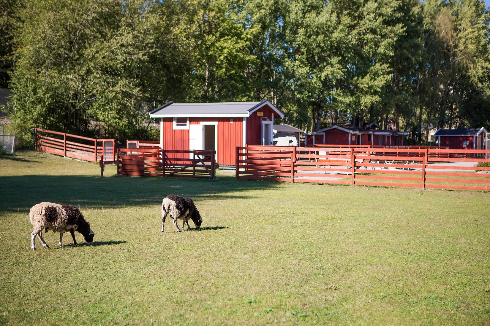 Bostadsrätt, Bedaröbacken 31, Örby, Stockholm
