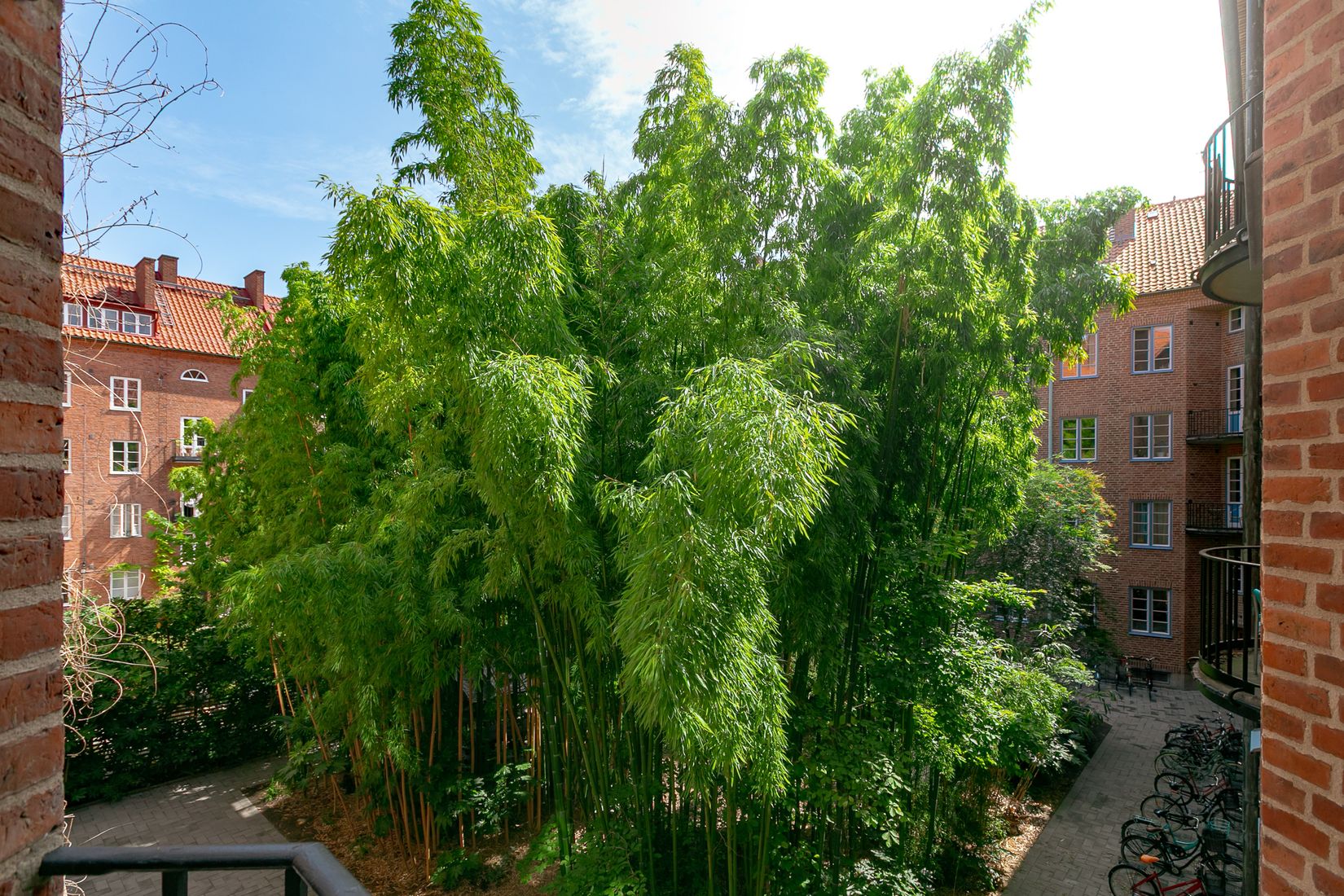 Bostadsrätt, Fredmansgatan 5A, Rörsjöstaden, Malmö