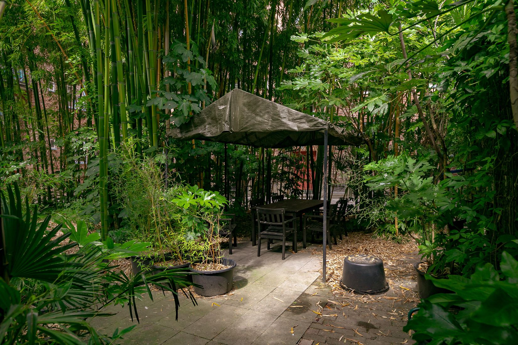 Bostadsrätt, Fredmansgatan 5A, Rörsjöstaden, Malmö