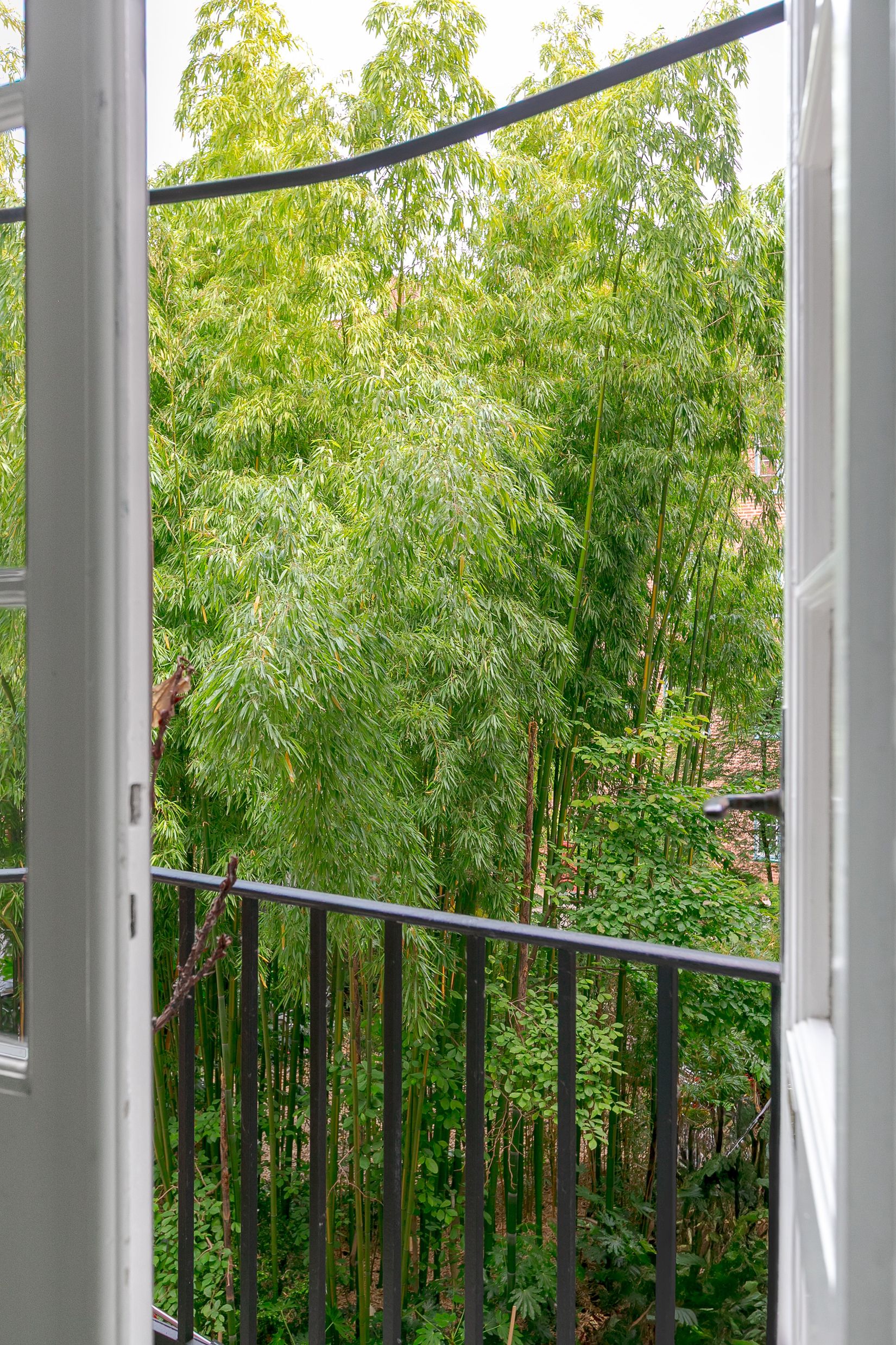 Bostadsrätt, Fredmansgatan 5A, Rörsjöstaden, Malmö