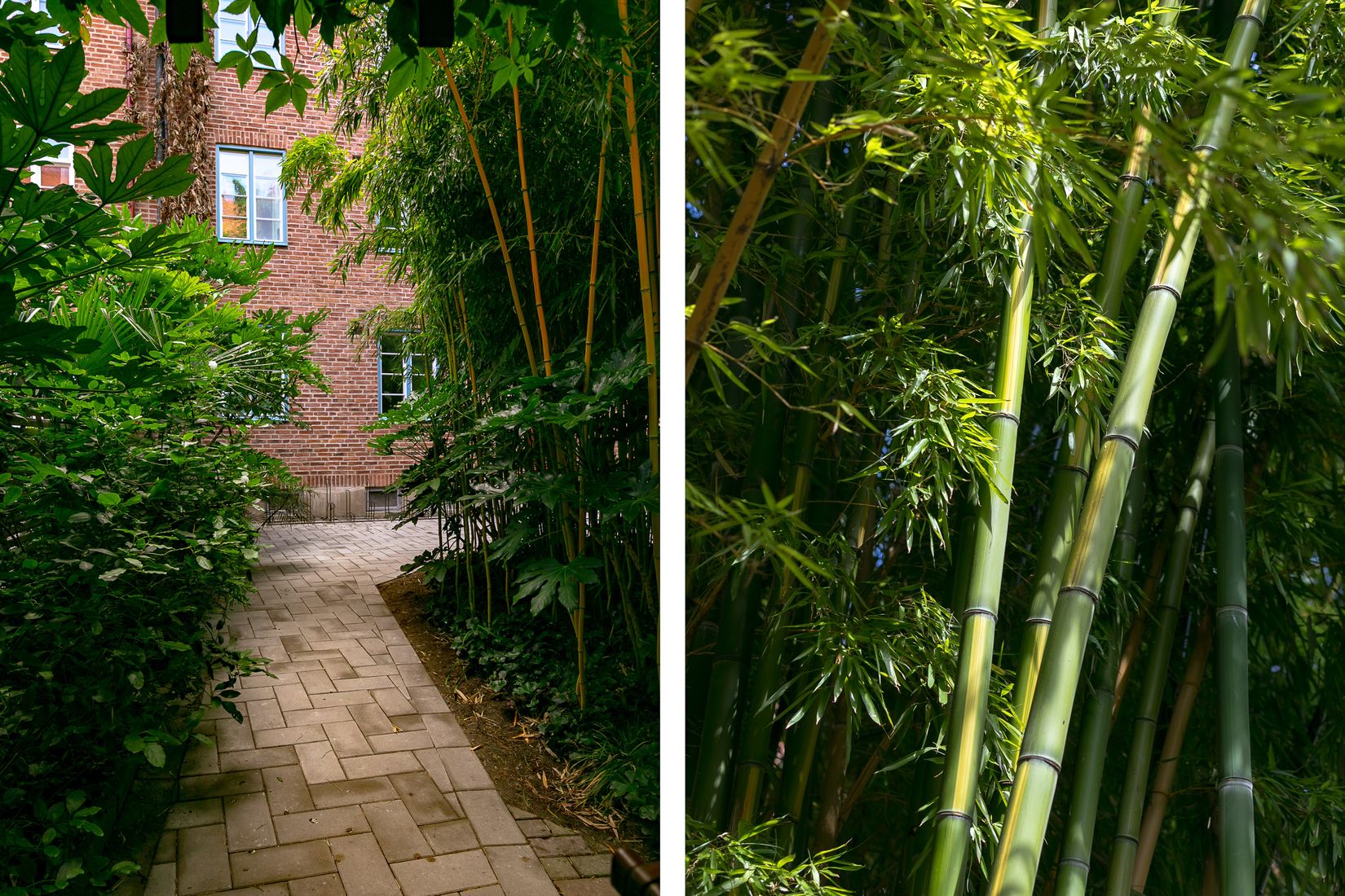 Bostadsrätt, Fredmansgatan 5A, Rörsjöstaden, Malmö