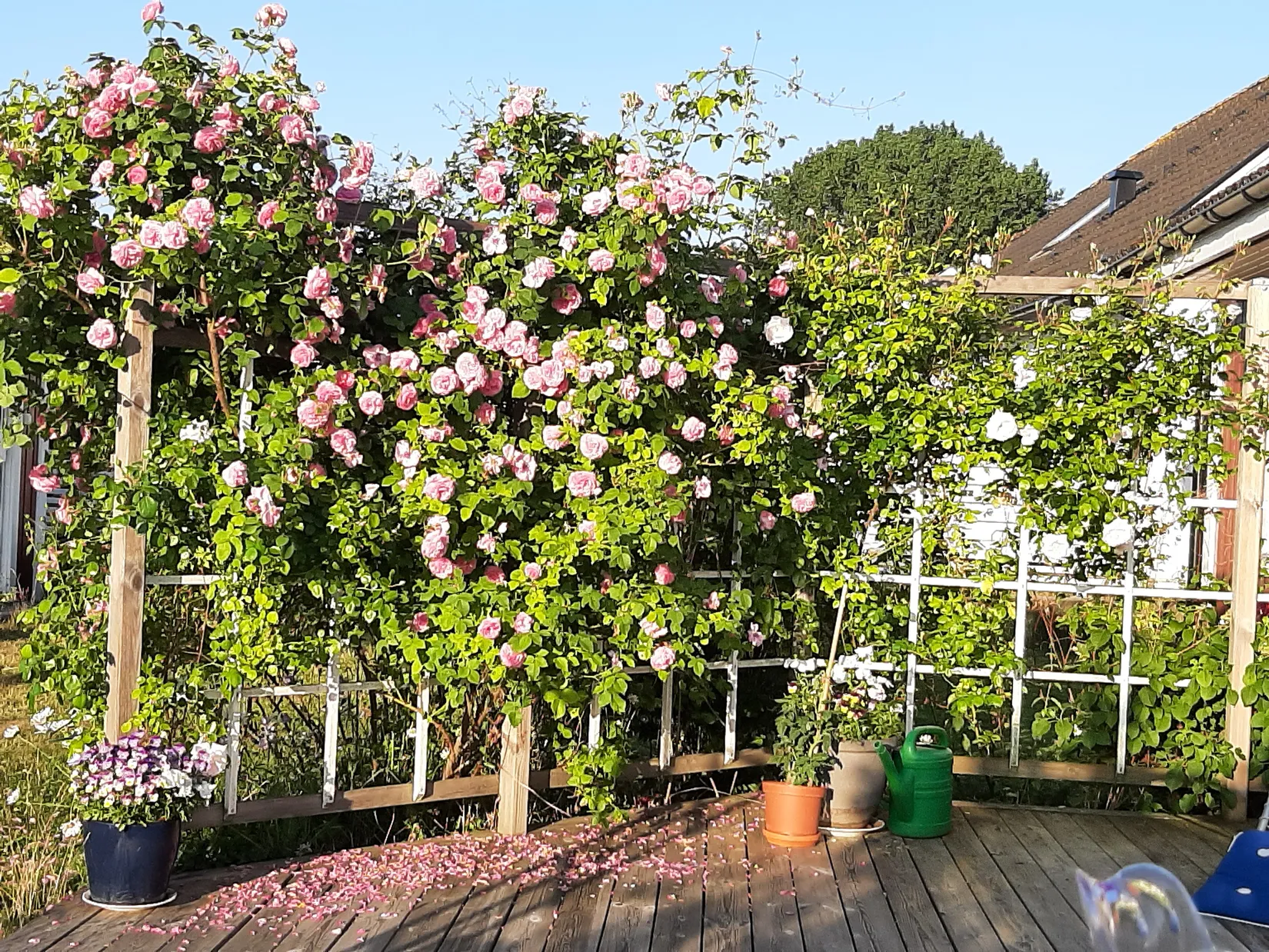 Villa, Hedvig Eleonoras gata 11, Drottningmarken, Vadstena