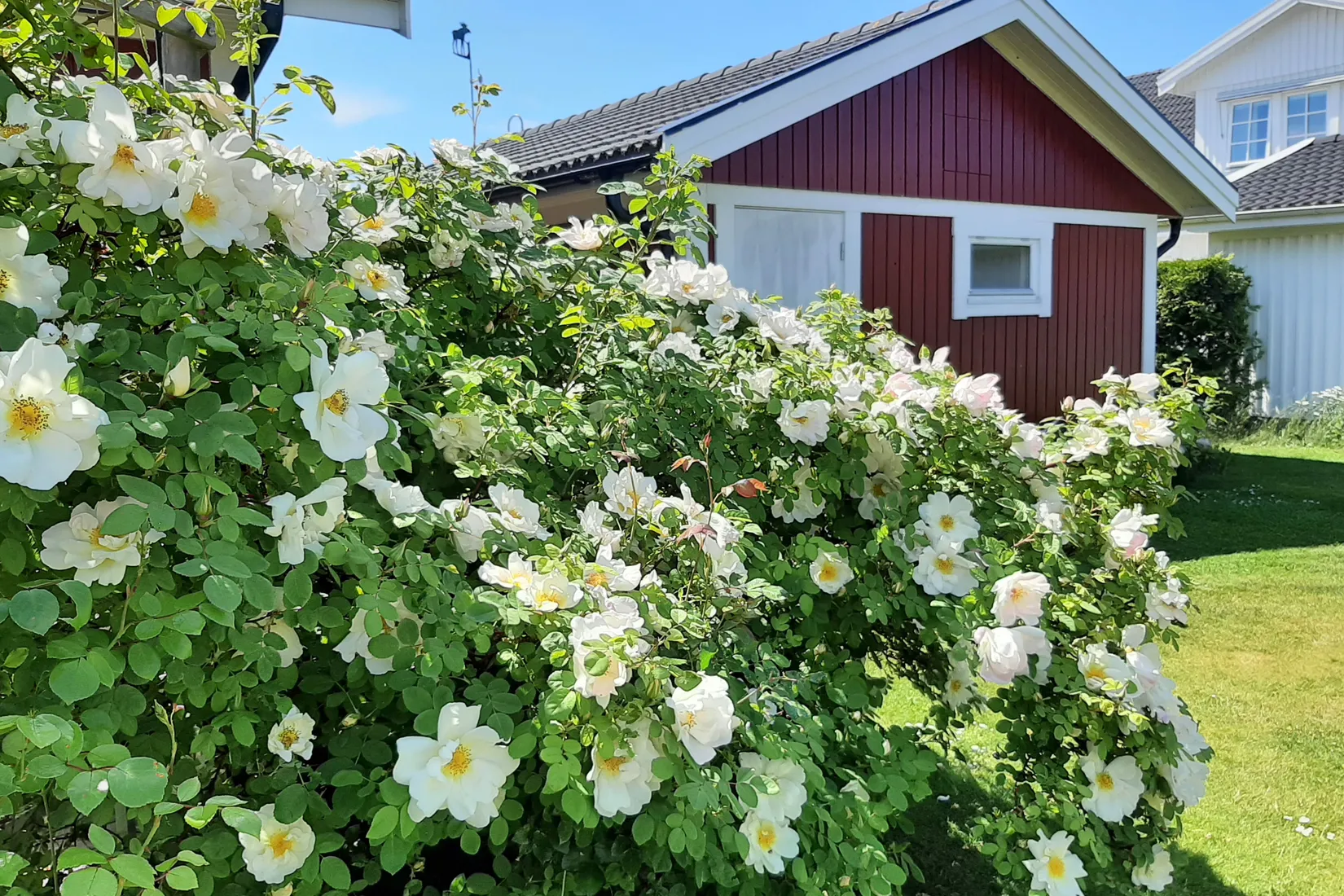 Villa, Hedvig Eleonoras gata 11, Drottningmarken, Vadstena