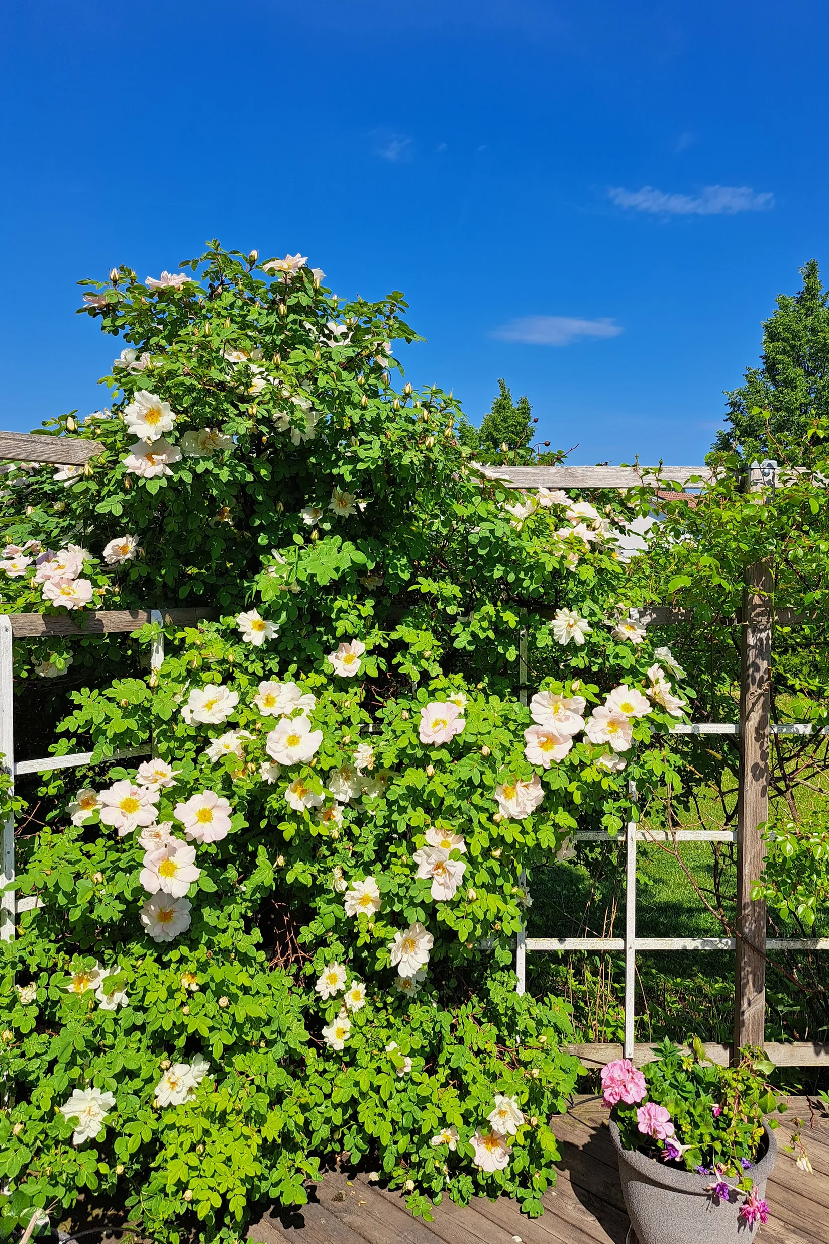Villa, Hedvig Eleonoras gata 11, Drottningmarken, Vadstena