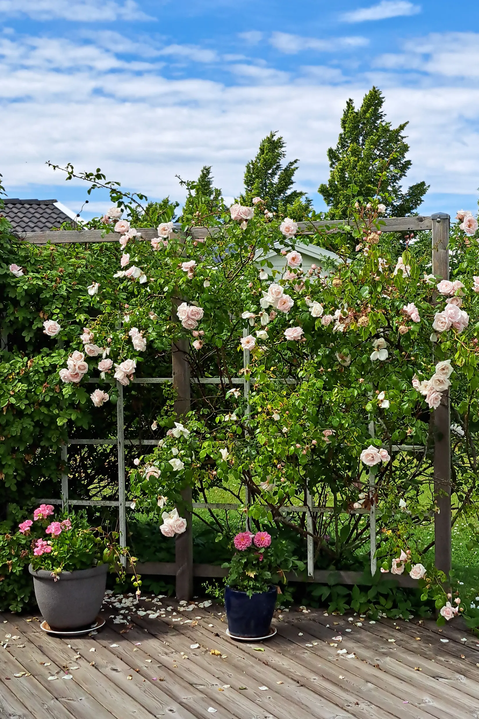 Villa, Hedvig Eleonoras gata 11, Drottningmarken, Vadstena