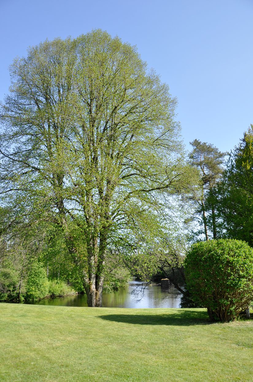 Fritidshus, Sånna / Axhult, Markaryd