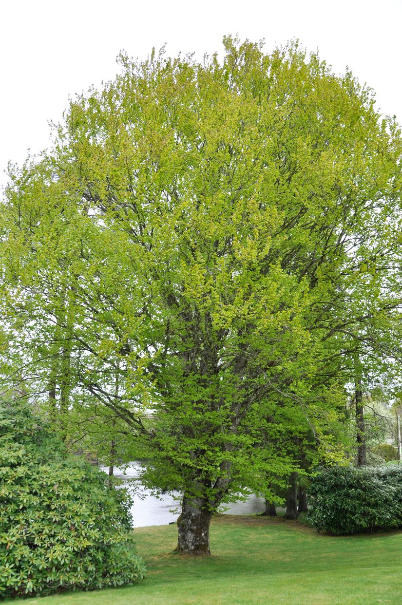 Fritidshus, Sånna / Axhult, Markaryd