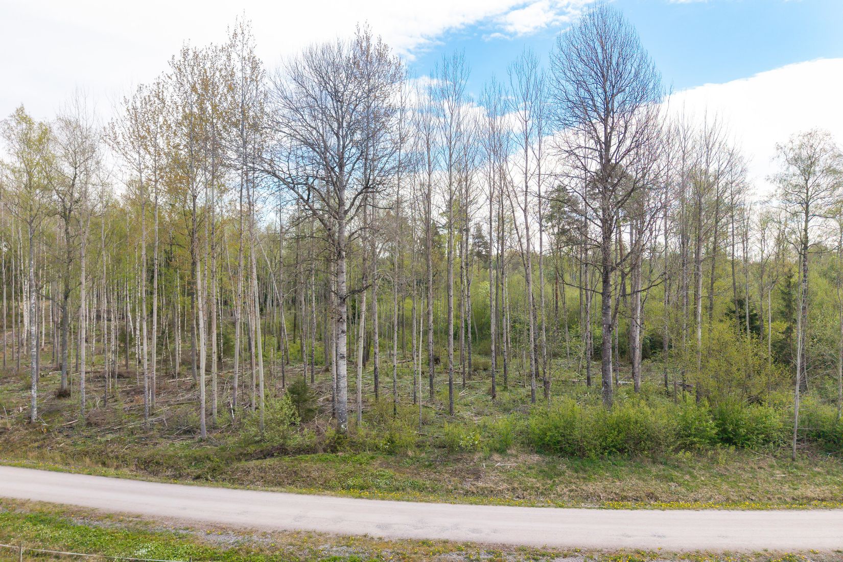 Tomt, Knutstorp Börstorp, Lekeberg