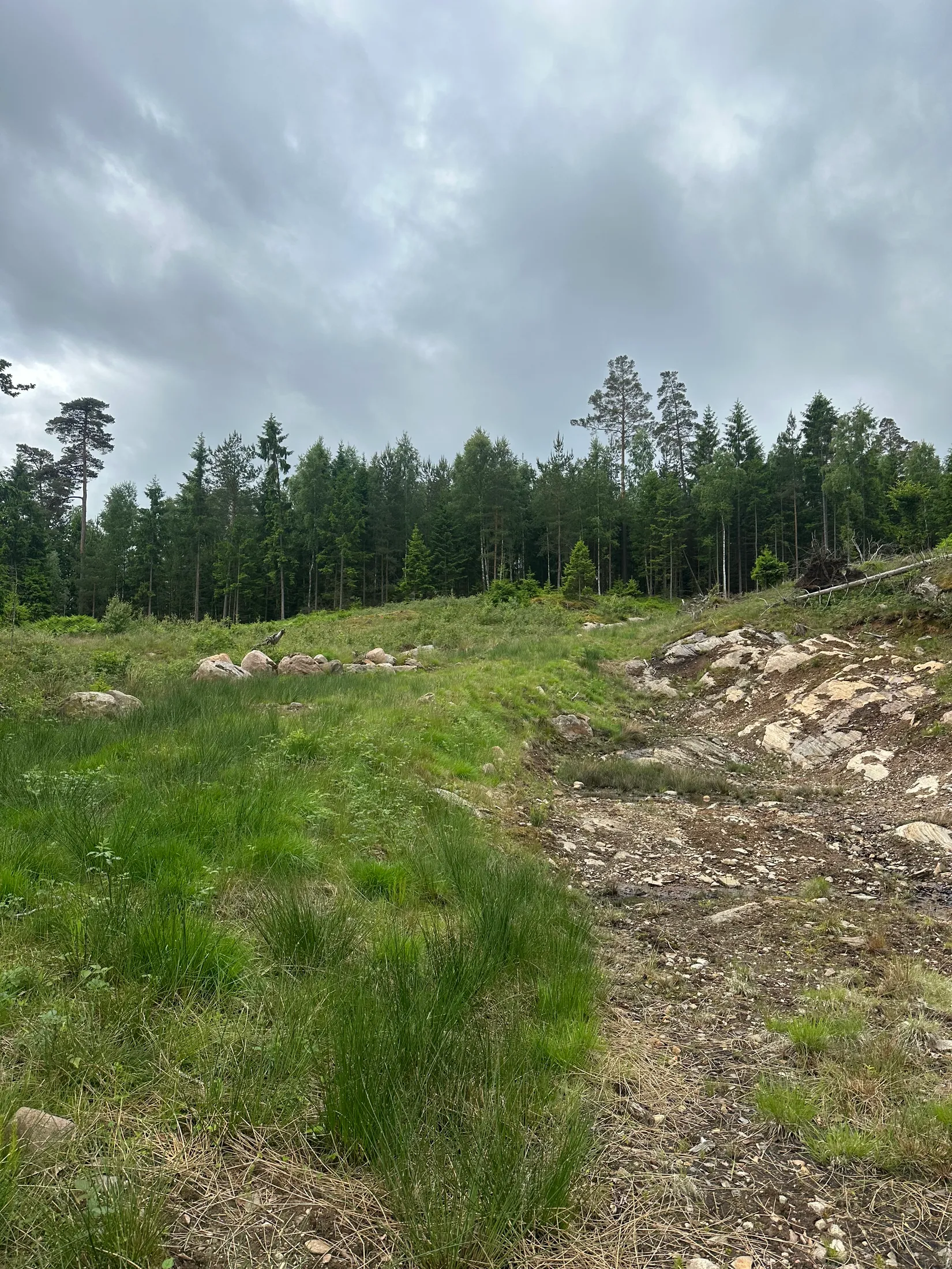Tomt, Rymlig tomt där väg och stora delar av markarbetet står klart , Simmenäs, Alingsås