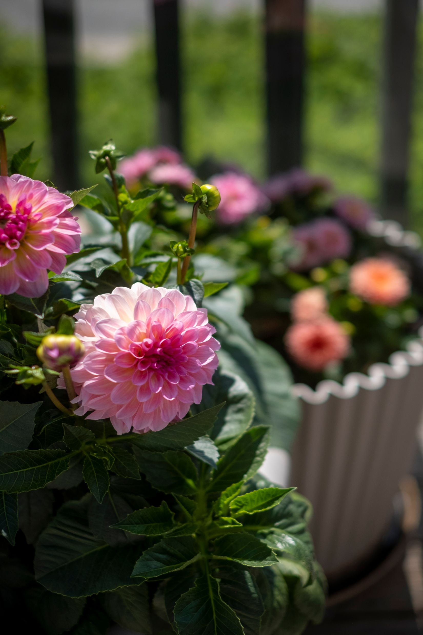 Bostadsrätt, Pennygränd 28, Täljöviken, Österåker