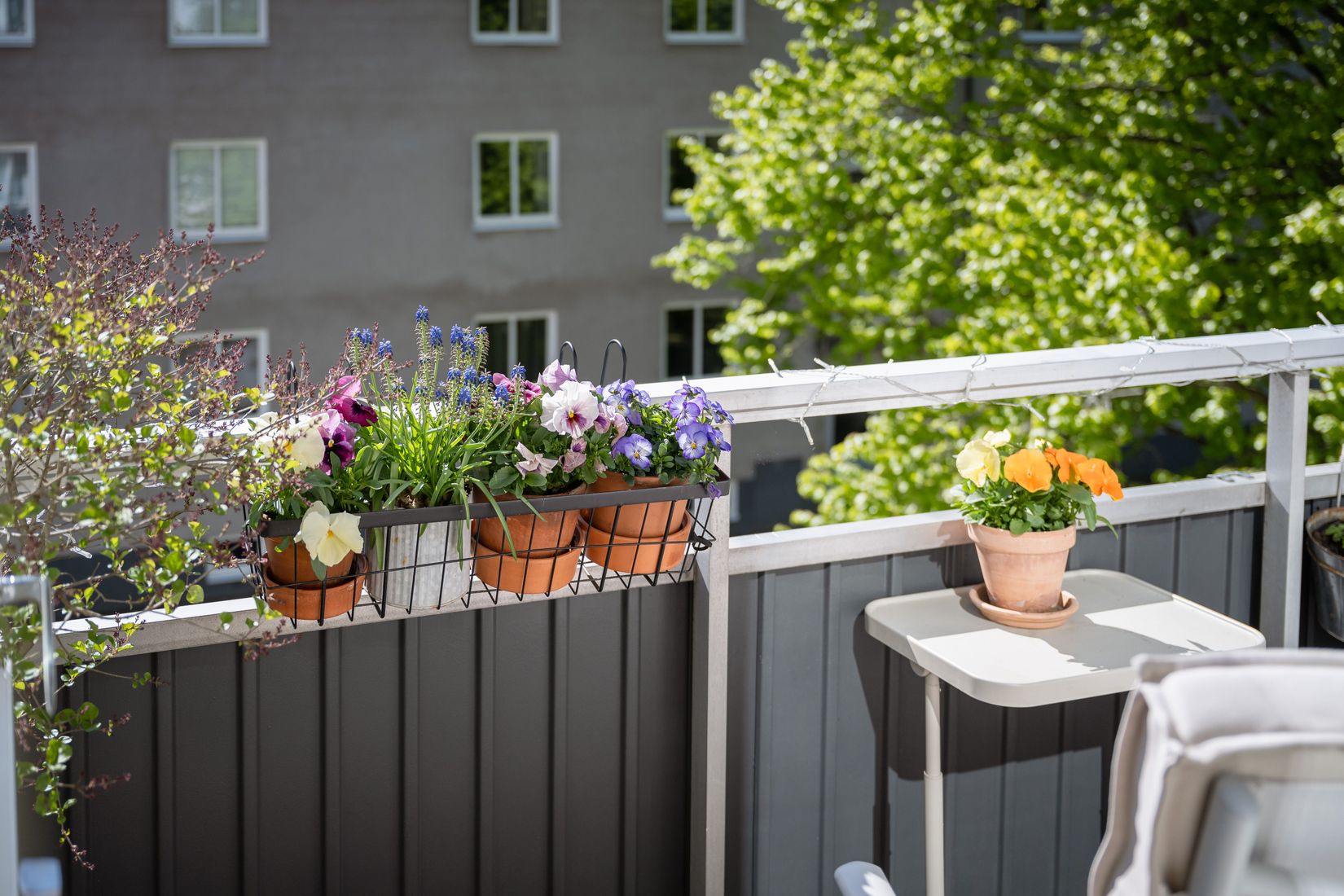 Bostadsrätt, Torgilsgatan 14A, Norrmalm, Borås