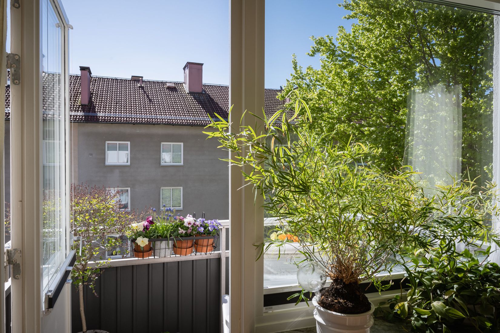 Bostadsrätt, Torgilsgatan 14A, Norrmalm, Borås