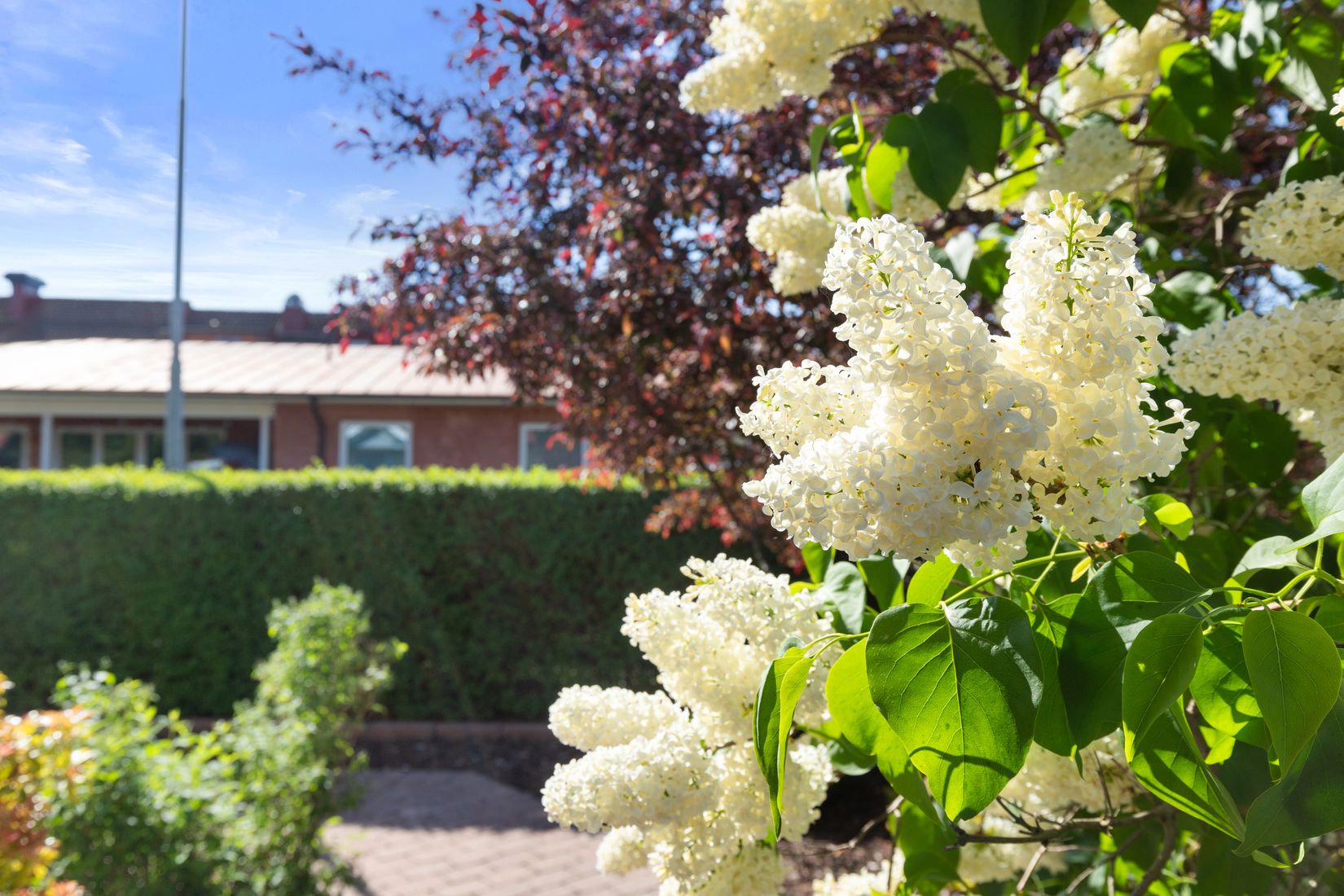 Villa, Borgmästaregatan 13, Centralt, Sölvesborg