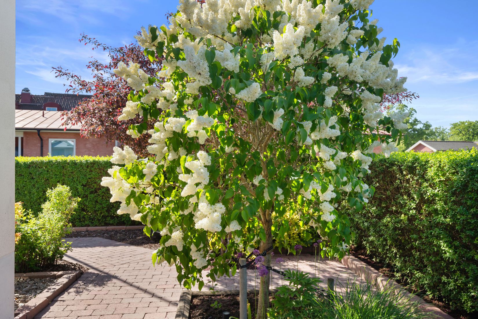 Villa, Borgmästaregatan 13, Centralt, Sölvesborg