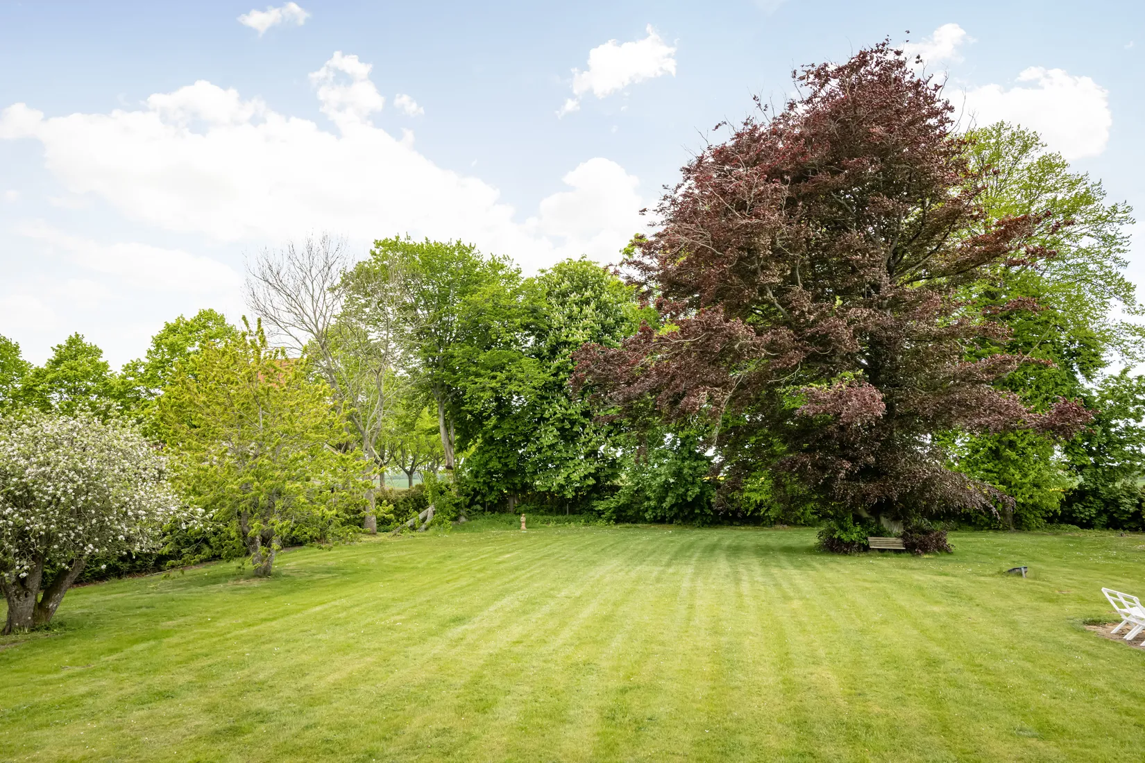 Gård/Skog, Sjörupsvägen 281-17, Sjörup, Ystad