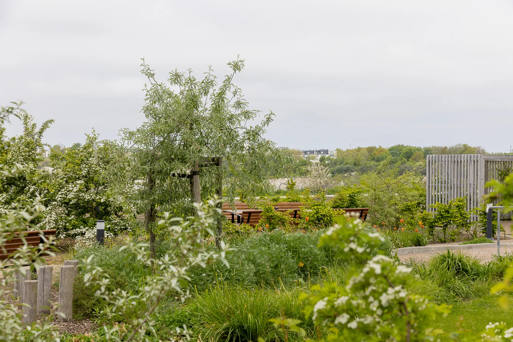 Bostadsrätt, Radhus, Blåsebergavägen 33B, Elinegård, Malmö