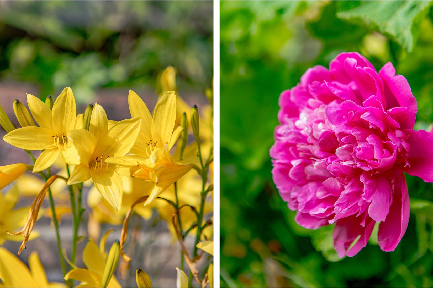 Villa, Kristinehöjdsvägen 5, Fajans/Nyby Gärde, Falkenberg