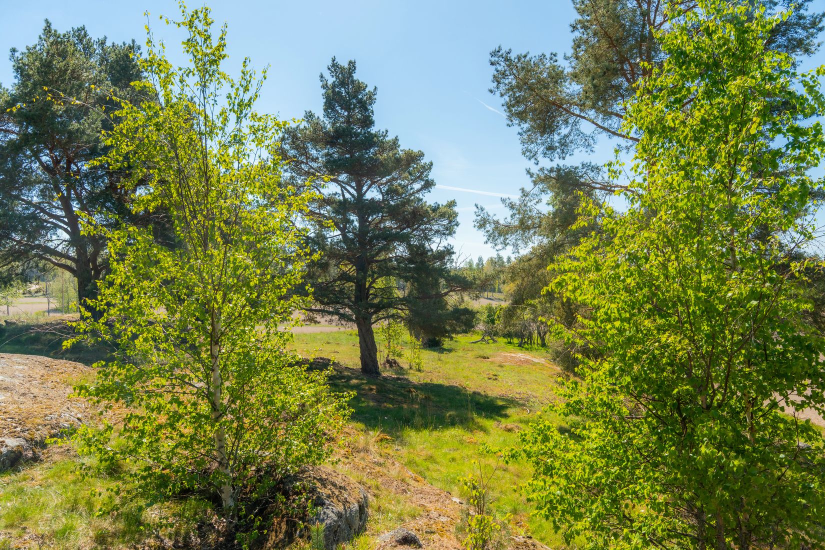 Tomt, Vedastan/Gråsta, Husby-Oppunda, Nyköping