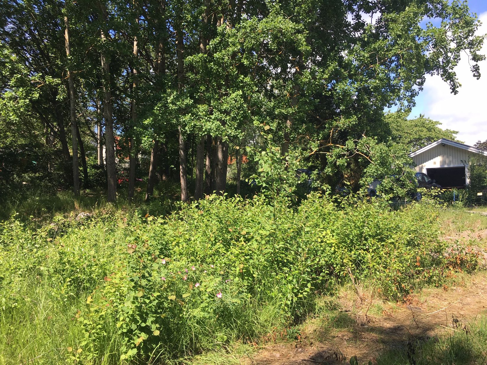 Tomt, Hallstavägen 43 / Fårbacksvägen 2 (tänkt adress), Adelsö, Ekerö