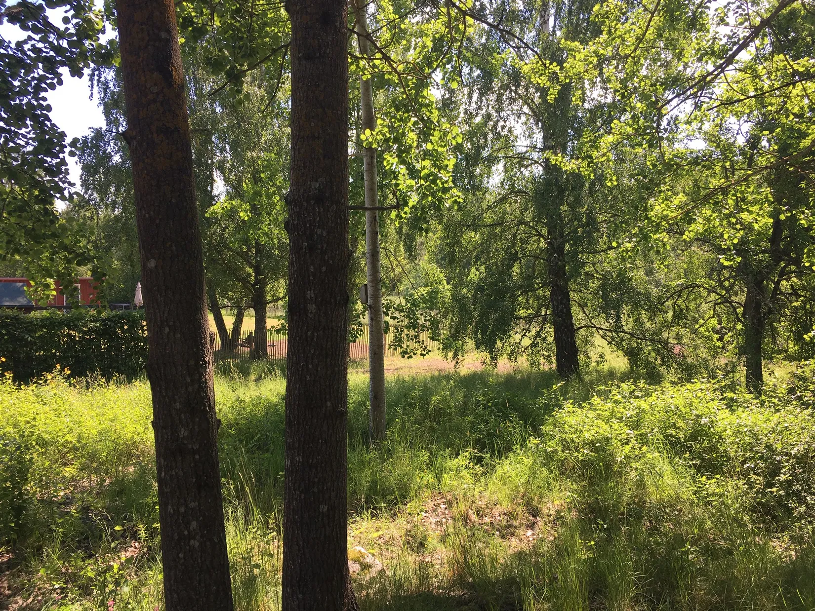 Tomt, Hallstavägen 43 / Fårbacksvägen 2 (tänkt adress), Adelsö, Ekerö