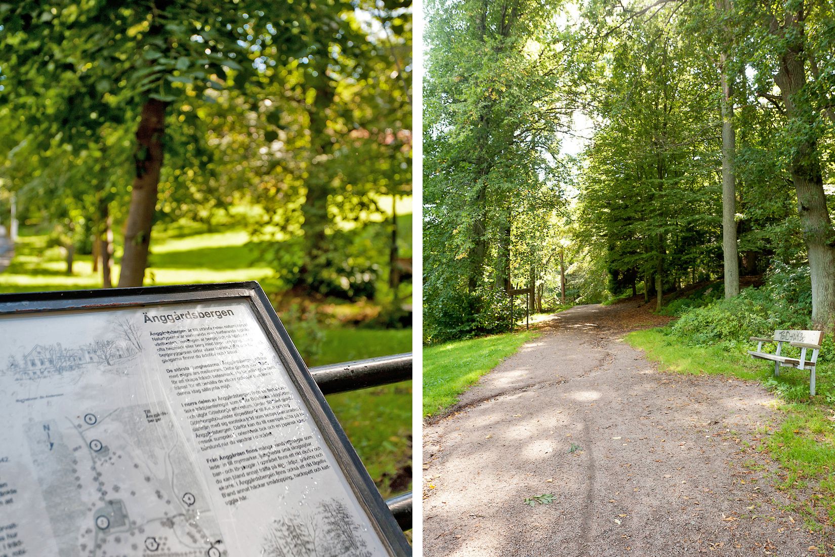 Bostadsrätt, Carl skottsbergs gata 116A, Änggården, Göteborg